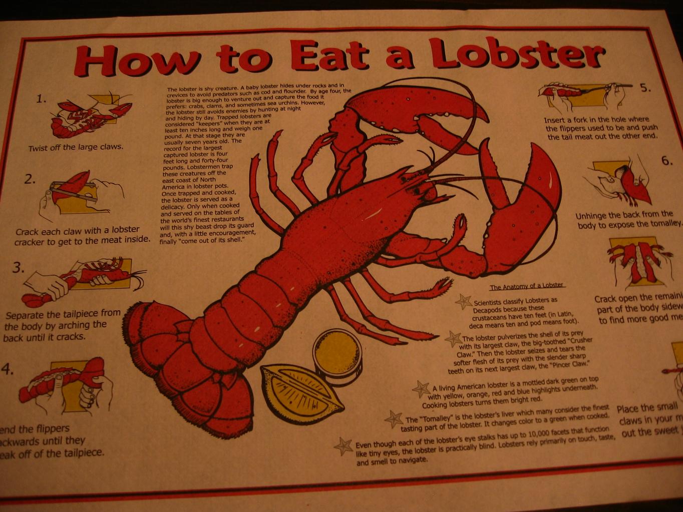 How to eat lobster.JPG